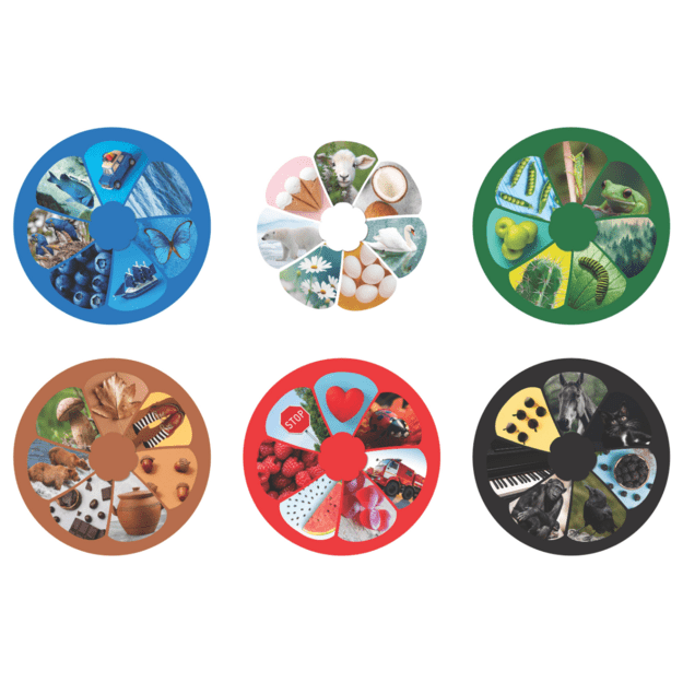 Lavinanti dėlionė SPALVOS, 3-6 metų vaikams 2