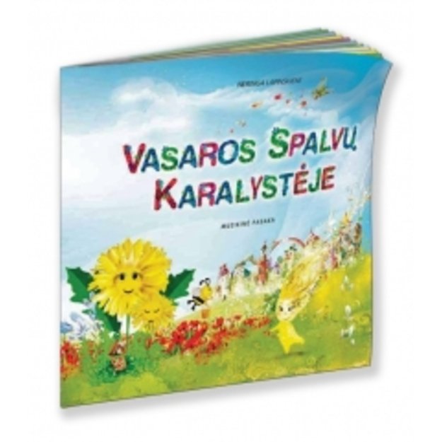 Muzikinė pasaka VASAROS SPALVŲ KARALYSTĖJE su CD