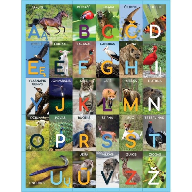 Lavinantis žaidimas-dėlionė ABĖCĖLĖ gyvūnai, 2+ 2